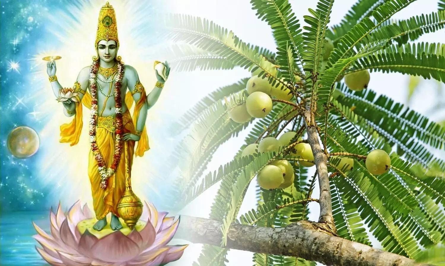Amalaki Ekadashi